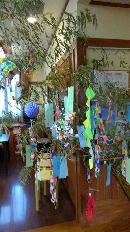 Photo_17