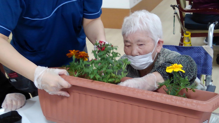 あずみ苑スタッフぶろぐ レオパレス21の介護施設 園芸を行いました 春日井市 あずみ苑春日井
