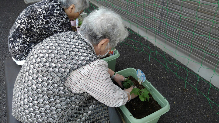 あずみ苑スタッフぶろぐ レオパレス21の介護施設 花壇でお花を育てています 木更津市 あずみ苑木更津