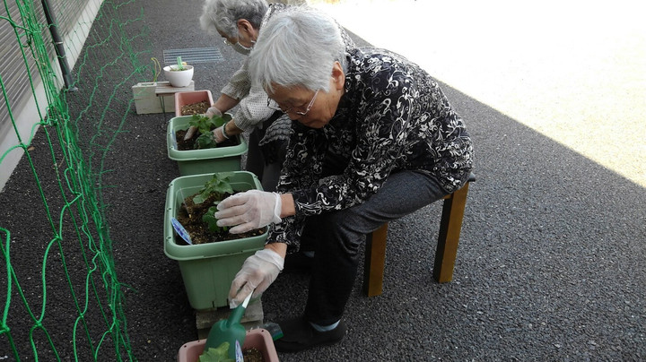 あずみ苑スタッフぶろぐ レオパレス21の介護施設 花壇でお花を育てています 木更津市 あずみ苑木更津