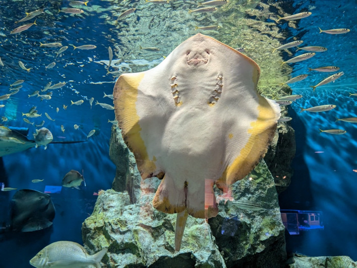 あずみ苑スタッフぶろぐ｜レオパレス21グループの介護施設 : あずみ苑