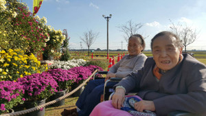 Photo_9