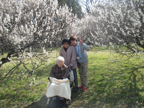 Ss_img_71331