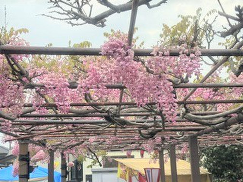 Photo_2