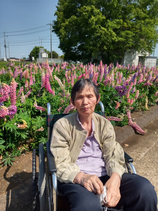 Kimg3574_1 Kimg3574_1