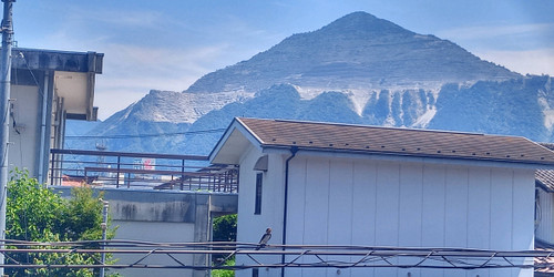 Photo_3