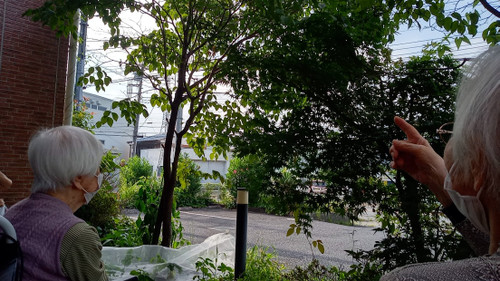 Photo_5