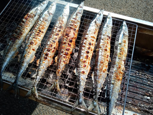 Kimg1888_2 Kimg1888_2