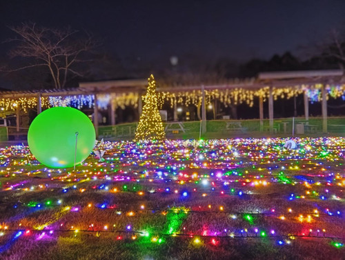 Saved_file_1766106976514_2