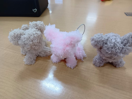 260128150259066 260128150259066