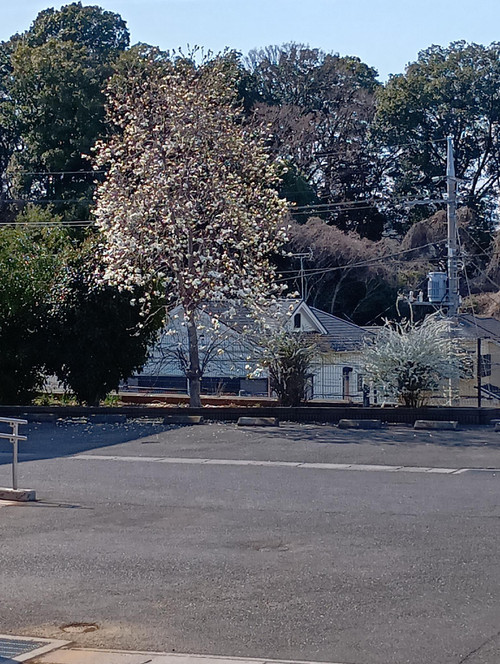 260315142244489_1_2 260315142244489_1_2