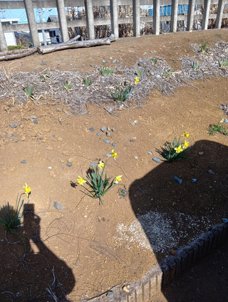 260315142223255_1 260315142223255_1