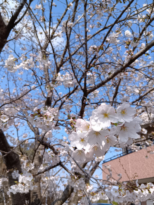 260328143815809 260328143815809