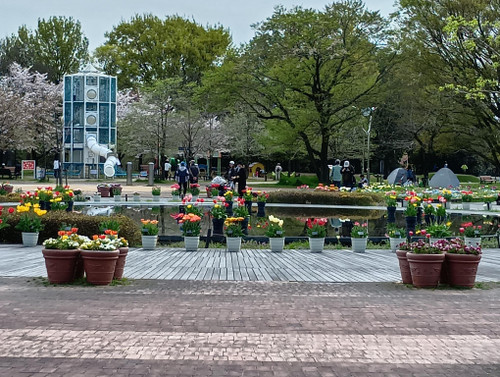 260406141203282_2