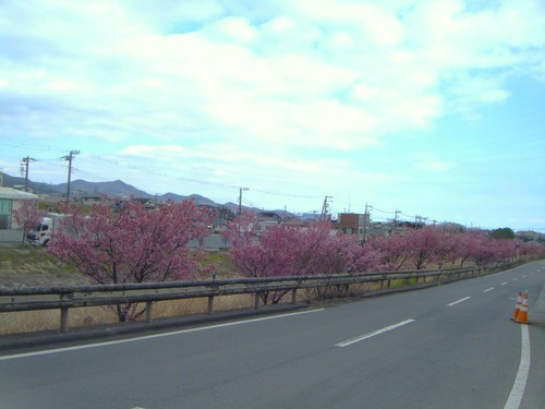 Photo_14