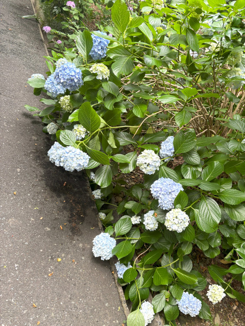 7_2