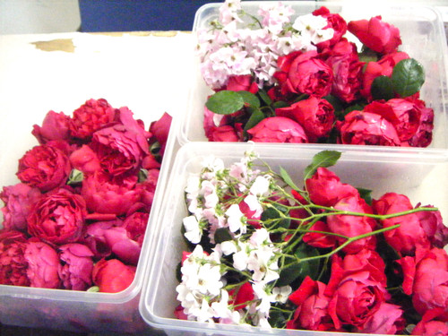 Photo_4