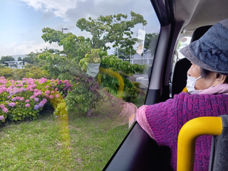 Photo_2 Photo_2