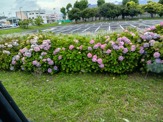 Photo_4 Photo_4