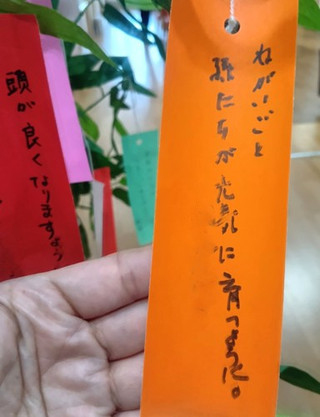 Photo_3_1 Photo_3_1